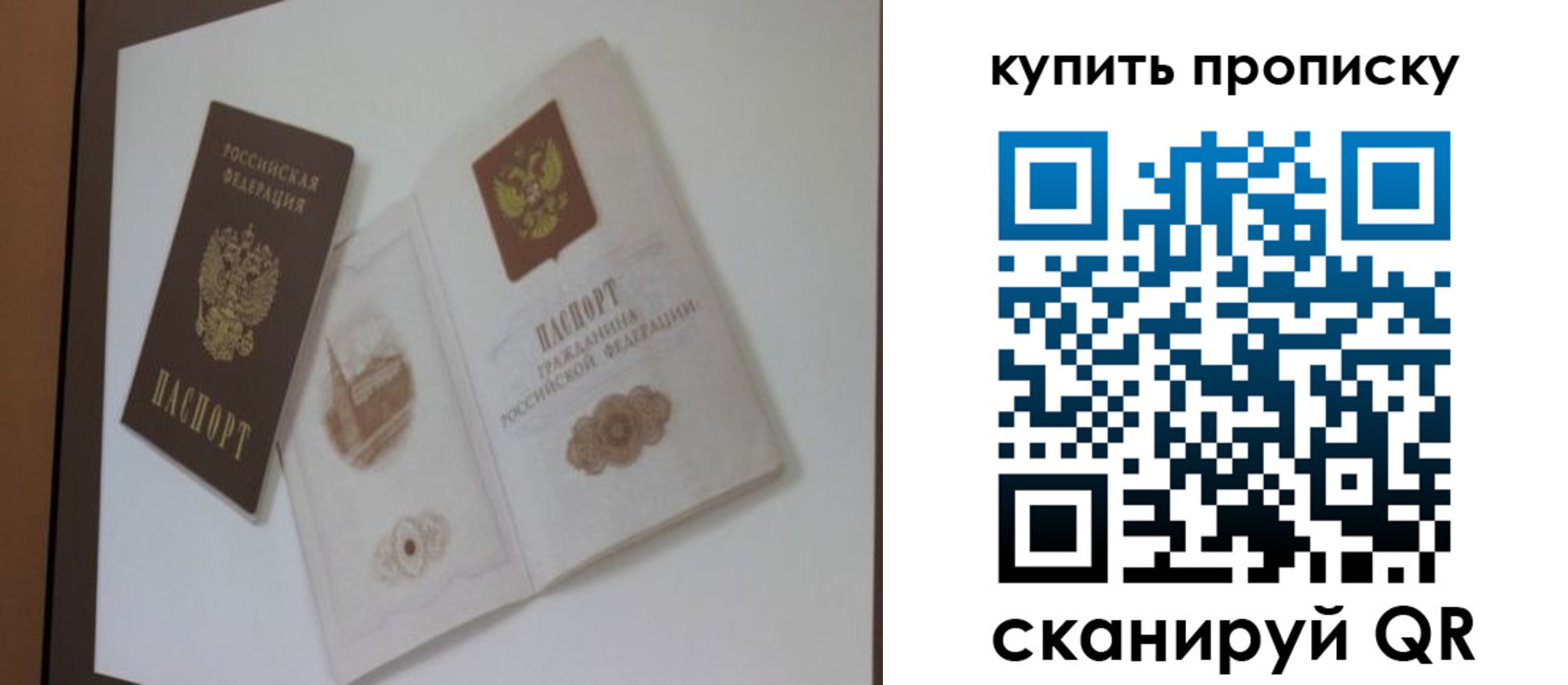 где прописаться в Новгородской области